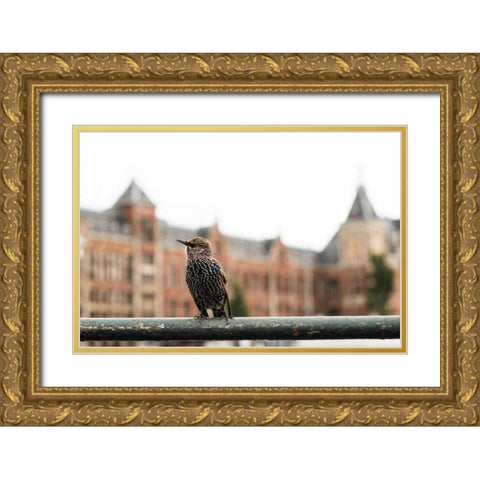 Perched II Gold Ornate Wood Framed Art Print with Double Matting by Berzel, Erin