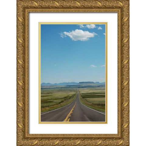 Mountain Summer V Gold Ornate Wood Framed Art Print with Double Matting by Berzel, Erin