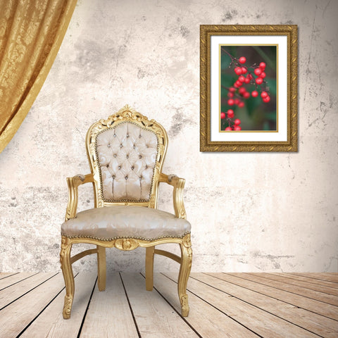 Red Berries II Gold Ornate Wood Framed Art Print with Double Matting by Berzel, Erin