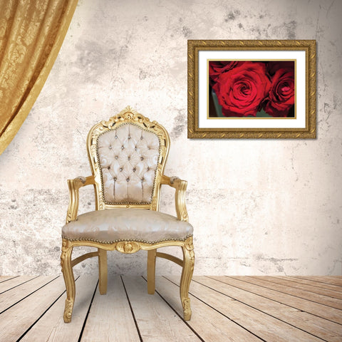 Red Roses Gold Ornate Wood Framed Art Print with Double Matting by Berzel, Erin