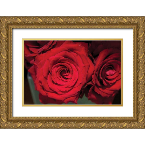 Red Roses Gold Ornate Wood Framed Art Print with Double Matting by Berzel, Erin