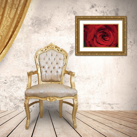 Red Rose Detail Gold Ornate Wood Framed Art Print with Double Matting by Berzel, Erin