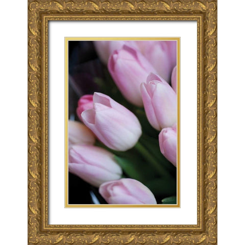 Soft Pink Tulips I Gold Ornate Wood Framed Art Print with Double Matting by Berzel, Erin