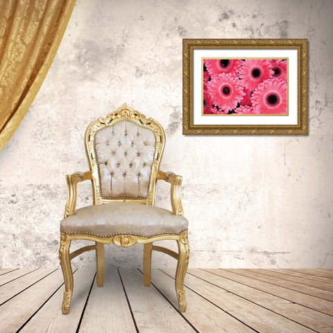Pink Gerbera Daisies III Gold Ornate Wood Framed Art Print with Double Matting by Berzel, Erin