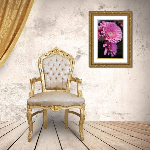 Pink Gerbera Daisies IV Gold Ornate Wood Framed Art Print with Double Matting by Berzel, Erin