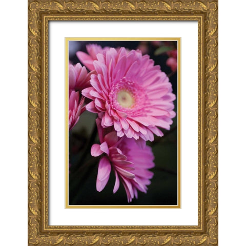 Pink Gerbera Daisies IV Gold Ornate Wood Framed Art Print with Double Matting by Berzel, Erin