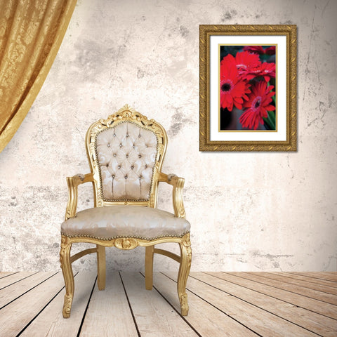 Red Gerbera Daisies I Gold Ornate Wood Framed Art Print with Double Matting by Berzel, Erin