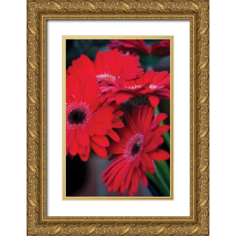Red Gerbera Daisies I Gold Ornate Wood Framed Art Print with Double Matting by Berzel, Erin
