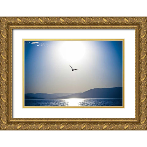 Take Flight Gold Ornate Wood Framed Art Print with Double Matting by Berzel, Erin
