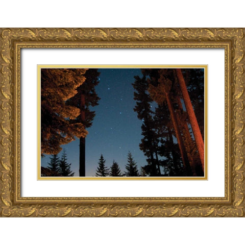 Starry Night I Gold Ornate Wood Framed Art Print with Double Matting by Berzel, Erin