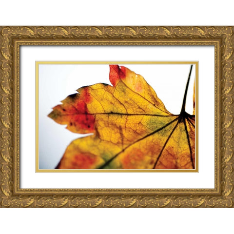 Autumn Colors II Gold Ornate Wood Framed Art Print with Double Matting by Berzel, Erin