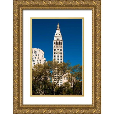 Madison Square Park Gold Ornate Wood Framed Art Print with Double Matting by Berzel, Erin