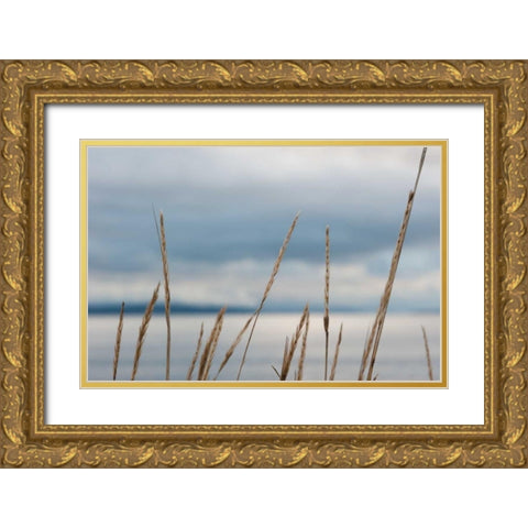 Whidbey Grass I Gold Ornate Wood Framed Art Print with Double Matting by Berzel, Erin