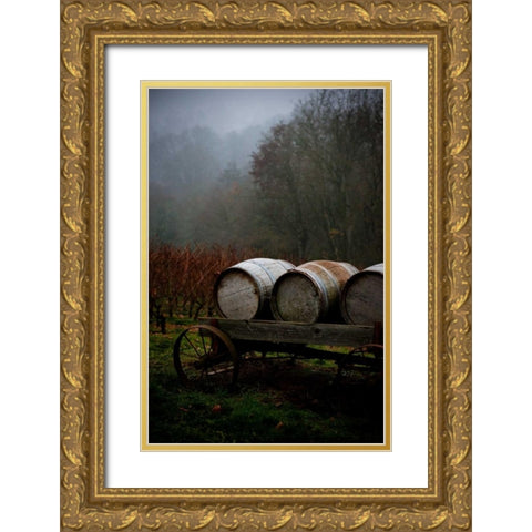 Oregon Wine Country II Gold Ornate Wood Framed Art Print with Double Matting by Berzel, Erin