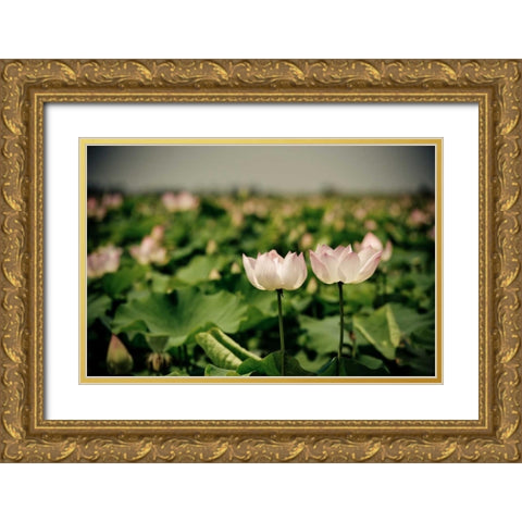 Lotus Flowers I Gold Ornate Wood Framed Art Print with Double Matting by Berzel, Erin
