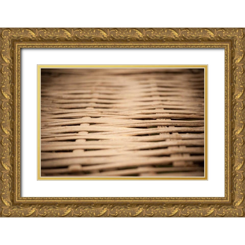 Bamboo Weave Gold Ornate Wood Framed Art Print with Double Matting by Berzel, Erin