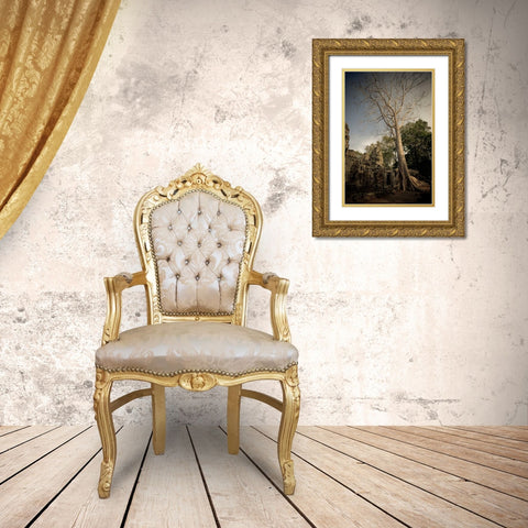 Silk Cotton Tree Gold Ornate Wood Framed Art Print with Double Matting by Berzel, Erin
