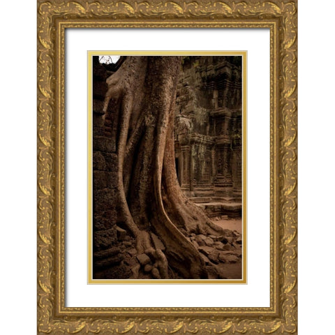 Roots and Ruins I Gold Ornate Wood Framed Art Print with Double Matting by Berzel, Erin