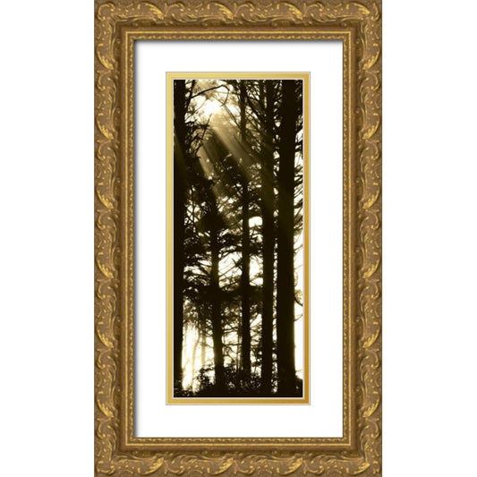 Perspective Image