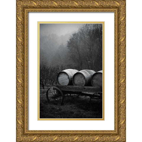 BW Oregon Wine Country II Gold Ornate Wood Framed Art Print with Double Matting by Berzel, Erin