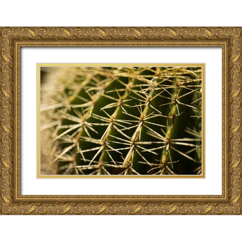 Cactus Detail I Gold Ornate Wood Framed Art Print with Double Matting by Berzel, Erin