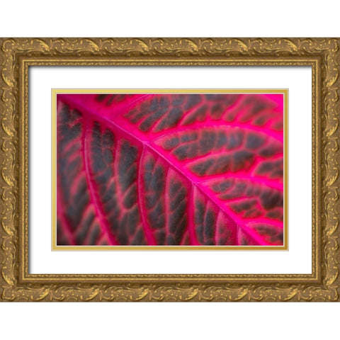 Pink Leaf II Gold Ornate Wood Framed Art Print with Double Matting by Berzel, Erin