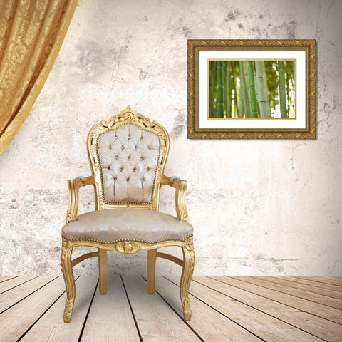 Bamboo and Bokeh I Gold Ornate Wood Framed Art Print with Double Matting by Berzel, Erin