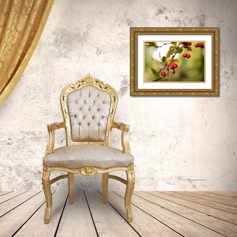 Red Berries I Gold Ornate Wood Framed Art Print with Double Matting by Berzel, Erin