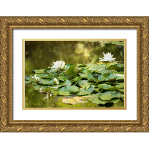 Lotus Pond II Gold Ornate Wood Framed Art Print with Double Matting by Berzel, Erin