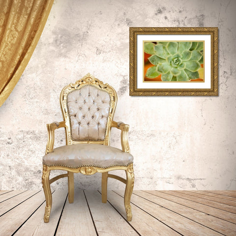 Macro Succulent I Gold Ornate Wood Framed Art Print with Double Matting by Berzel, Erin
