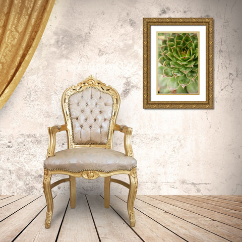 Sempervivum Succulent III Gold Ornate Wood Framed Art Print with Double Matting by Berzel, Erin