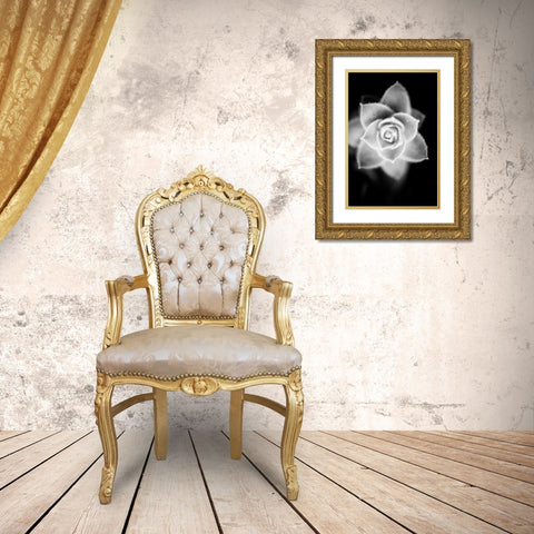 Monochrome Succulent II Gold Ornate Wood Framed Art Print with Double Matting by Berzel, Erin