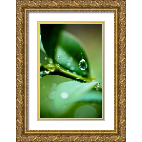 Suspended Dew I Gold Ornate Wood Framed Art Print with Double Matting by Berzel, Erin
