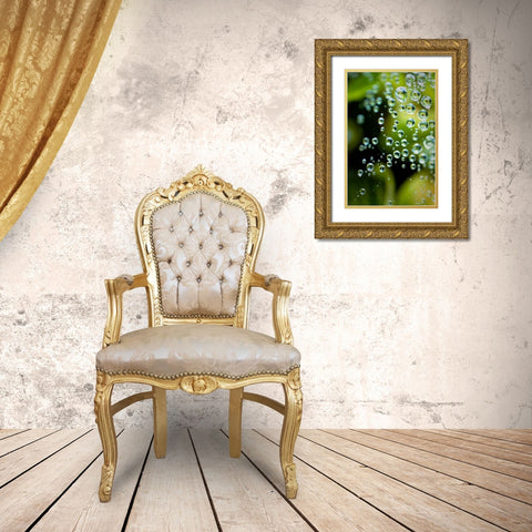 Suspended Dew II Gold Ornate Wood Framed Art Print with Double Matting by Berzel, Erin