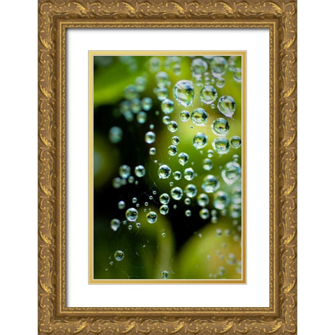 Suspended Dew II Gold Ornate Wood Framed Art Print with Double Matting by Berzel, Erin