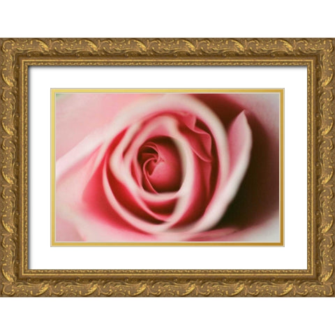 Pink Rose Gold Ornate Wood Framed Art Print with Double Matting by Berzel, Erin