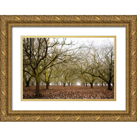 Hazel Tree Grove II Gold Ornate Wood Framed Art Print with Double Matting by Berzel, Erin