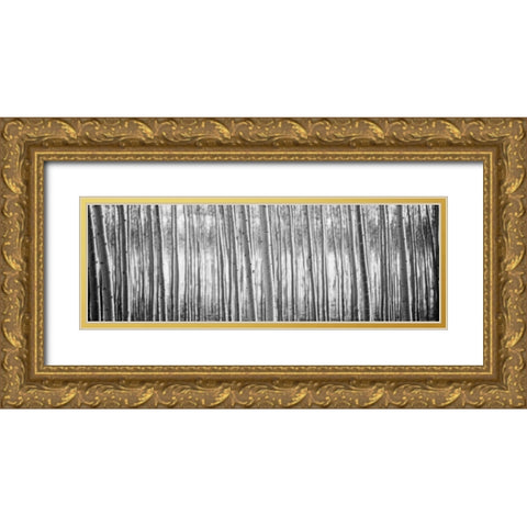 Pacific Albus BW I Gold Ornate Wood Framed Art Print with Double Matting by Berzel, Erin