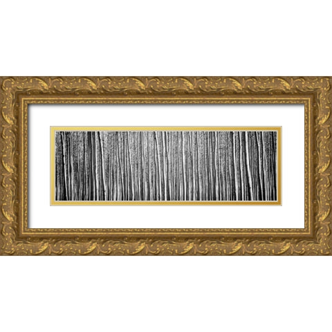 Pacific Albus BW II Gold Ornate Wood Framed Art Print with Double Matting by Berzel, Erin