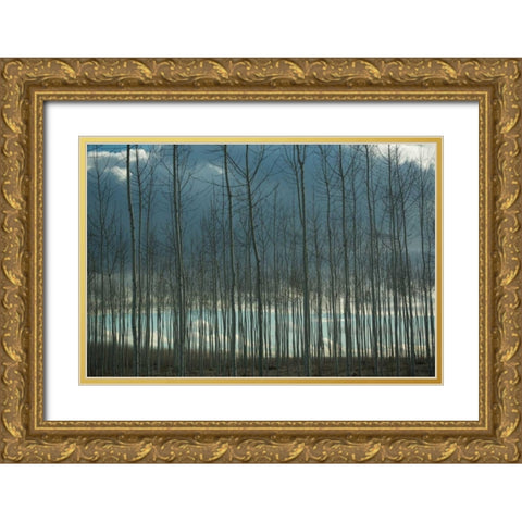 Pacific Albus and Clouds I Gold Ornate Wood Framed Art Print with Double Matting by Berzel, Erin