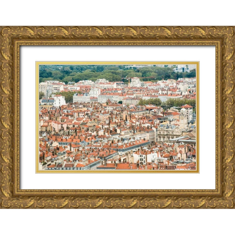 Lyon Rooftops I Gold Ornate Wood Framed Art Print with Double Matting by Berzel, Erin