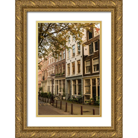Amsterdam Neighborhood I Gold Ornate Wood Framed Art Print with Double Matting by Berzel, Erin