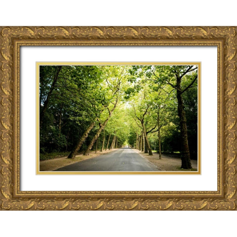 Amsterdam Vondelpark I Gold Ornate Wood Framed Art Print with Double Matting by Berzel, Erin