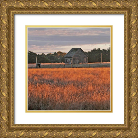 Golden Fields II Gold Ornate Wood Framed Art Print with Double Matting by Crane, Rita