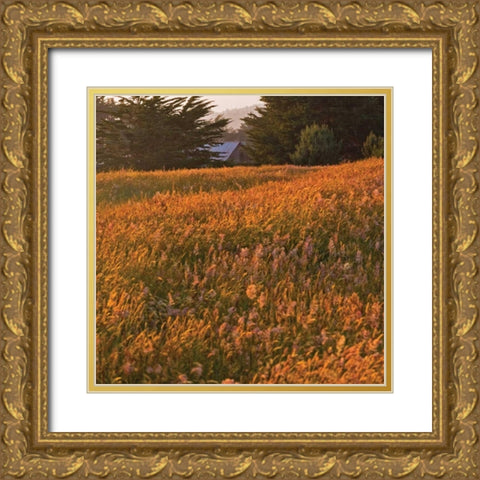 Golden Fields III Gold Ornate Wood Framed Art Print with Double Matting by Crane, Rita