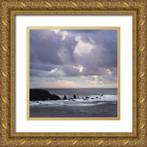 After the Storm Gold Ornate Wood Framed Art Print with Double Matting by Crane, Rita