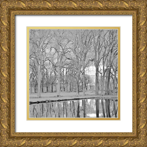 Along the Canal Gold Ornate Wood Framed Art Print with Double Matting by Crane, Rita