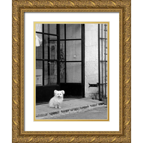 Little Dog V Gold Ornate Wood Framed Art Print with Double Matting by Crane, Rita