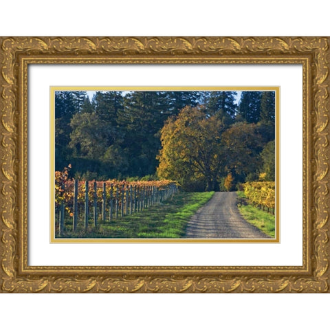 After the Harvest I Gold Ornate Wood Framed Art Print with Double Matting by Crane, Rita