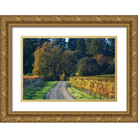 After the Harvest II Gold Ornate Wood Framed Art Print with Double Matting by Crane, Rita